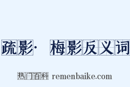 疏影·梅影反义词是什么意思的图片